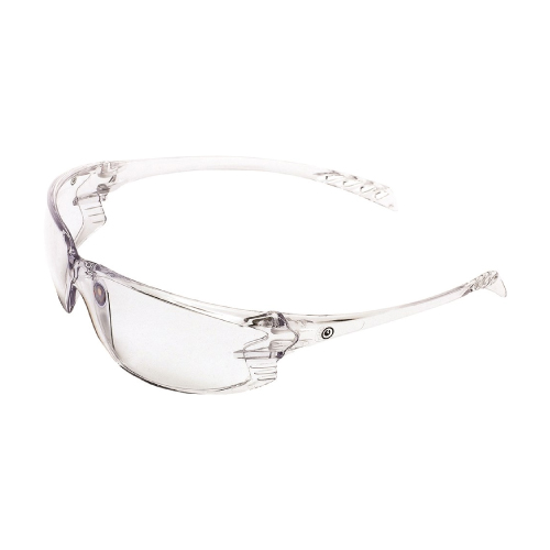 Safety Glasses (12 PACK) 9900